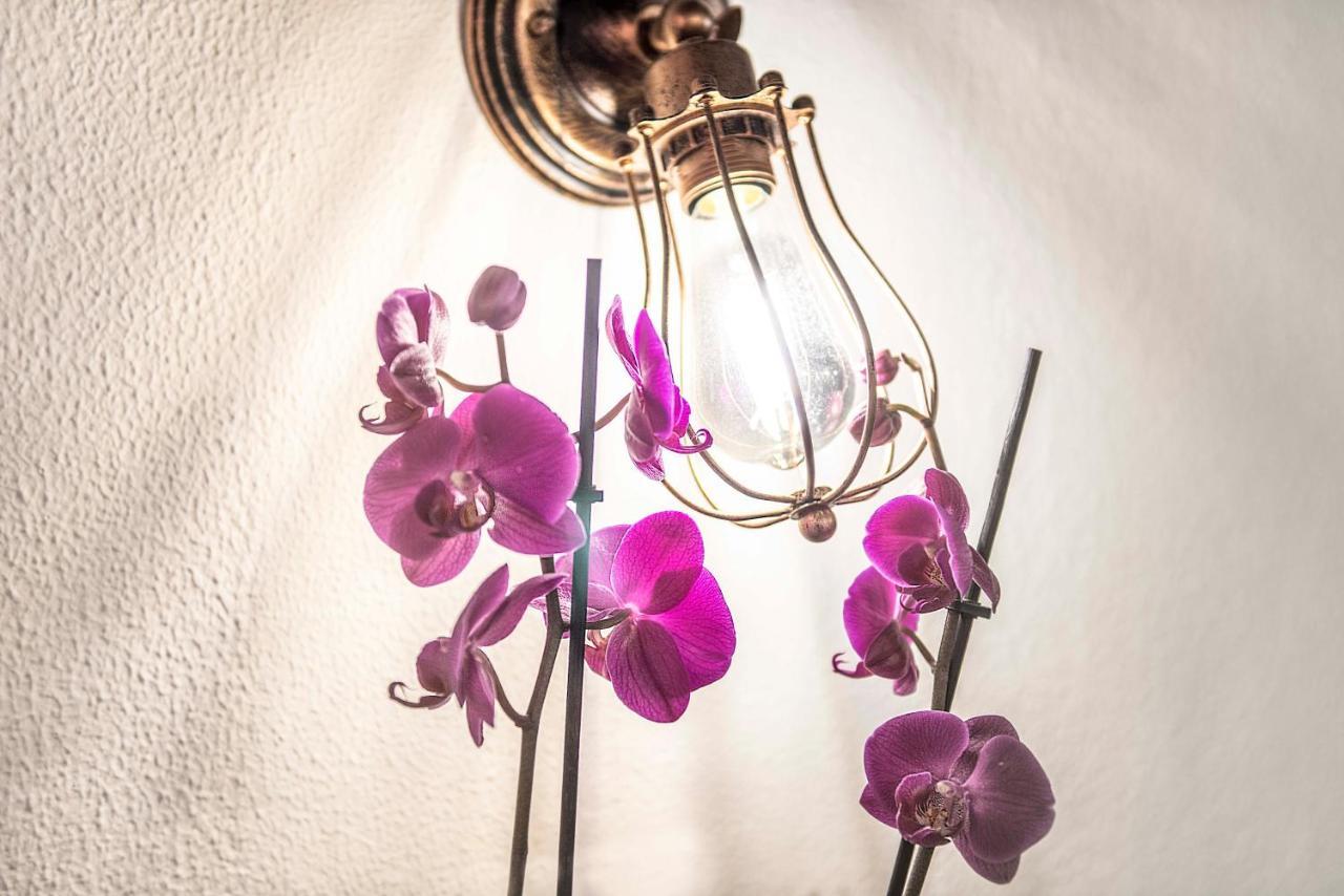 Stranamore Apartments Trastevere Roma Ngoại thất bức ảnh